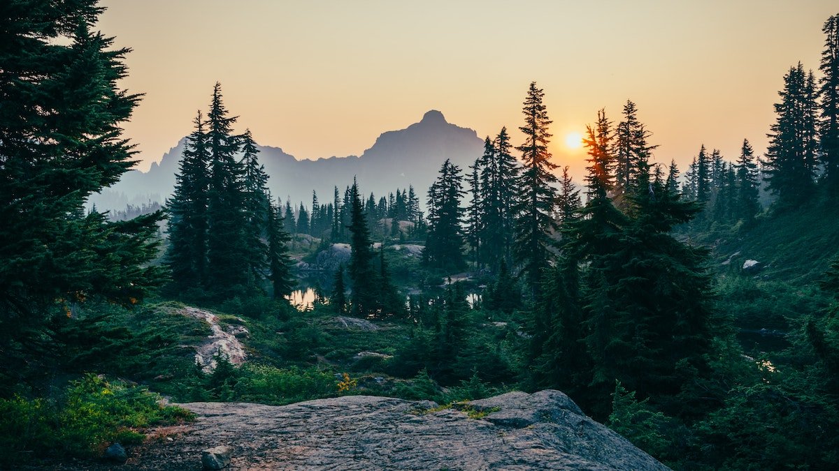 What is Environmental Sustainability? - NOTIQ
