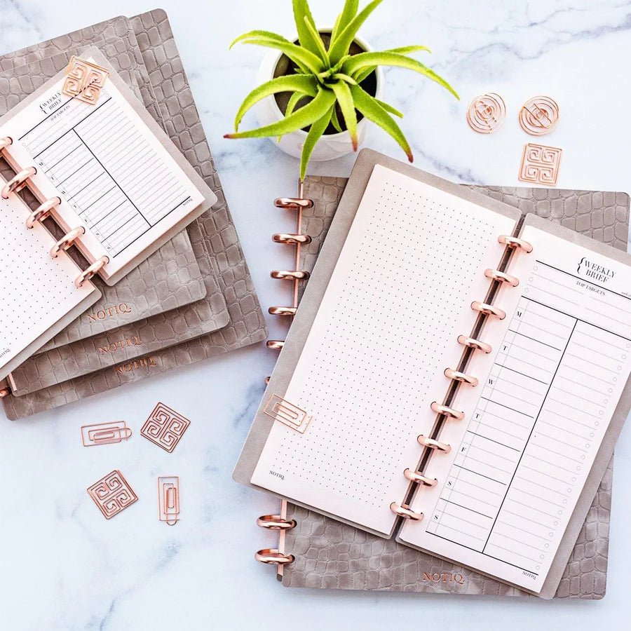 Stone Cloud Croco | Executive Weekly Planner | Discbound Weekly BRIEF Planbook | NOTIQ