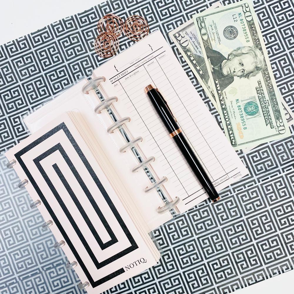 Blush Pink | Simplicity Clearfrost Budget Book Cash Envelopes Finance Kit | NOTIQ