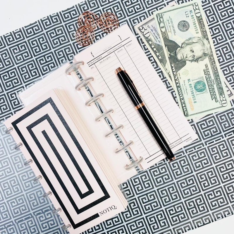 Simplicity Clearfrost Budget Book Cash Envelopes Finance Kit Blush Pink